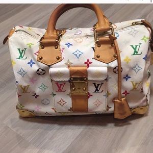 LV Multicolor Speedy 30 (Limited Edition)